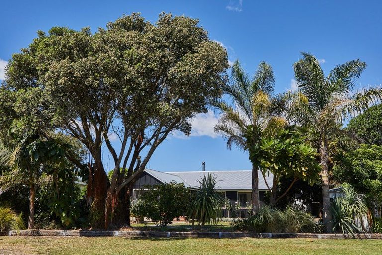 Photo of property in 14 Kuku Street, Te Awanga, 4102