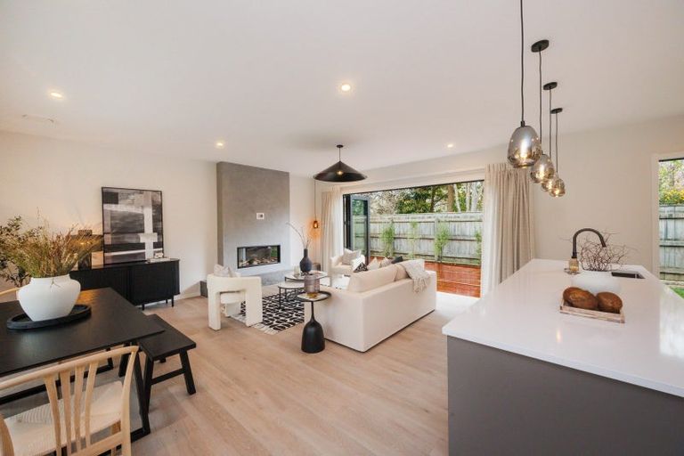 Photo of property in 29a Hardie Street, Hokowhitu, Palmerston North, 4410