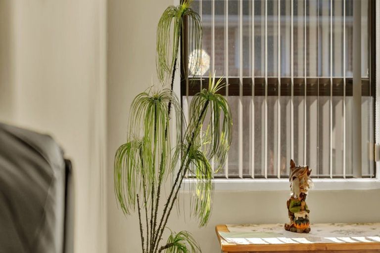 Photo of property in 17 Bradshaw Terrace, Riccarton, Christchurch, 8011