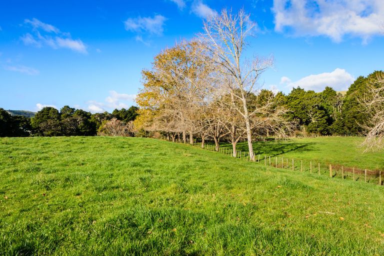 Photo of property in 1149a Whangaripo Valley Road, Whangaripo, Wellsford, 0972
