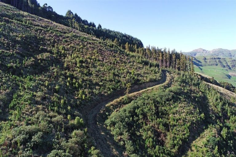 Photo of property in 90 Bachelors Road, Little River, 7591