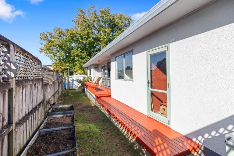 Photo of property in 5a Manley Grove, Gate Pa, Tauranga, 3112