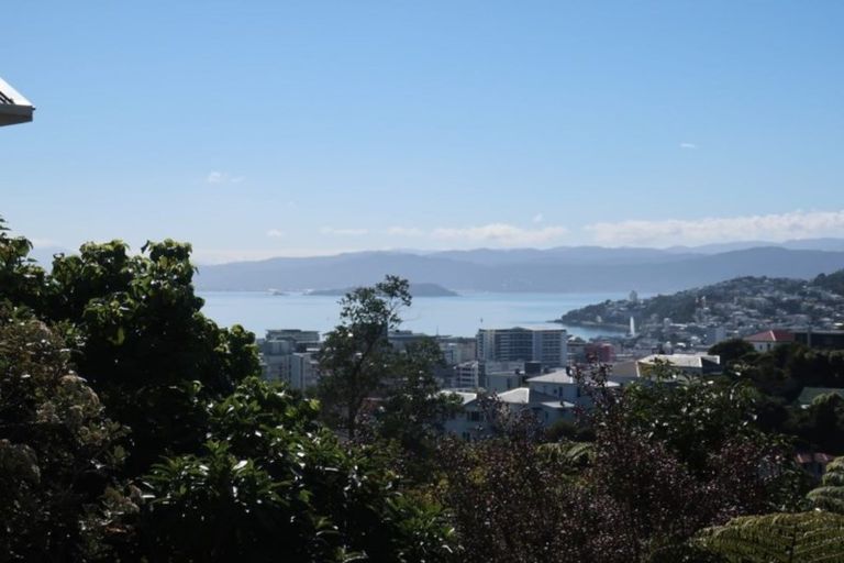 Photo of property in 29 Mortimer Terrace, Aro Valley, Wellington, 6021