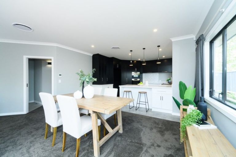 Photo of property in 14a Colombo Street, Hokowhitu, Palmerston North, 4410