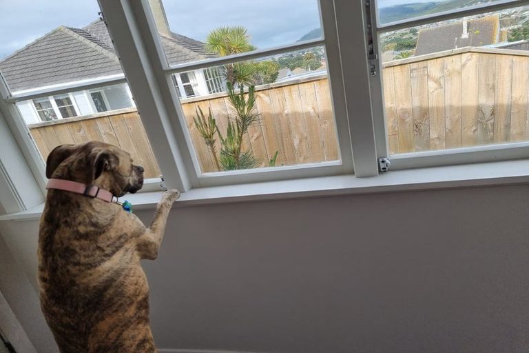 Photo of property in 34 Jillett Street, Titahi Bay, Porirua, 5022