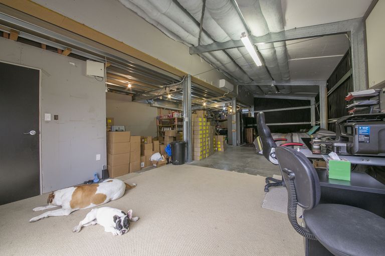 Photo of property in 117 Barrett Road, Riverhead, Albany, 0793