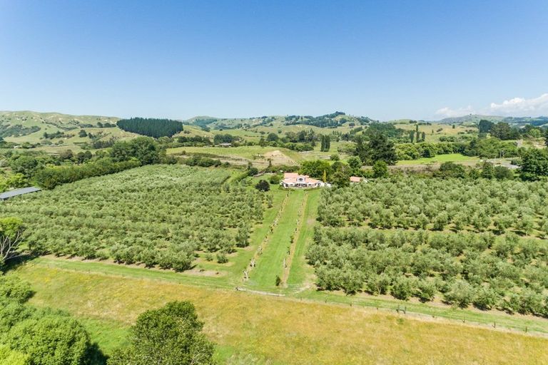 Photo of property in 92 Ellis Wallace Road, Eskdale, Napier, 4182