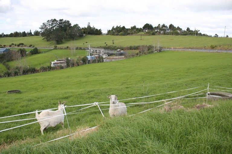 Photo of property in 991 Kaiwaka-mangawhai Road, Hakaru, Wellsford, 0975