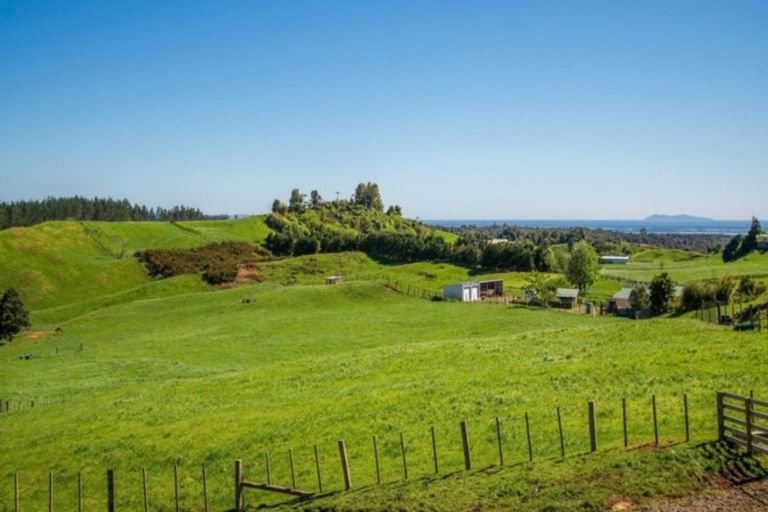 Photo of property in 956b Whakamarama Road, Whakamarama, 3179