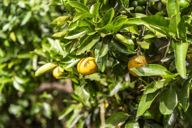 Photo of property in 55 Otaihanga Road, Otaihanga, Paraparaumu, 5036