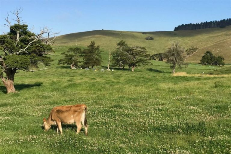 Photo of property in 176 Morrison Road, Arapohue, Dargaville, 0374