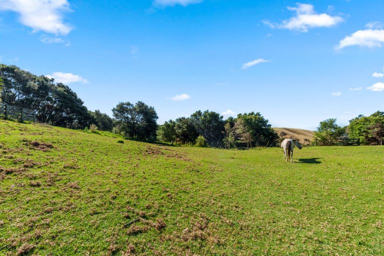Photo of property in 516 Fordyce Road, South Head, Helensville, 0874
