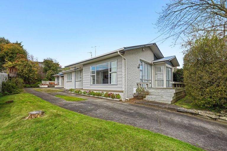 Photo of property in 12 Thomson Avenue, Dinsdale, Hamilton, 3204