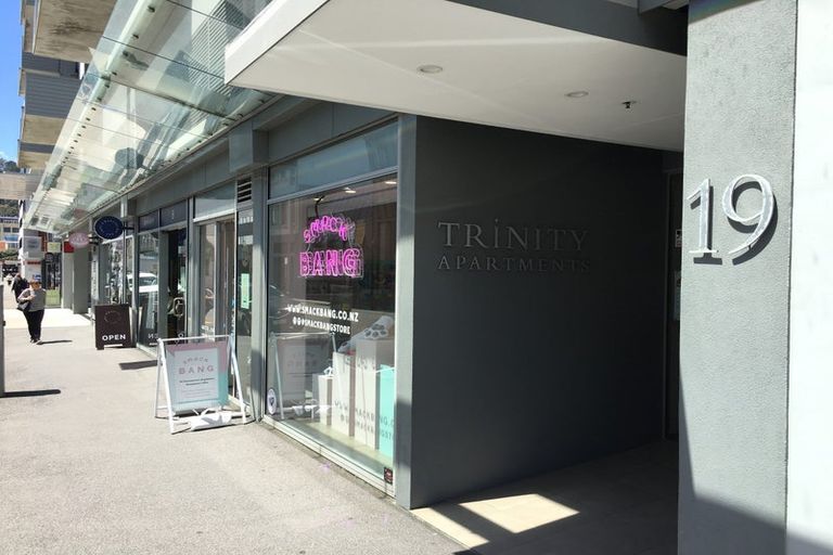 Photo of property in Trinity Apartments, 19 College Street, Te Aro, Wellington, 6011