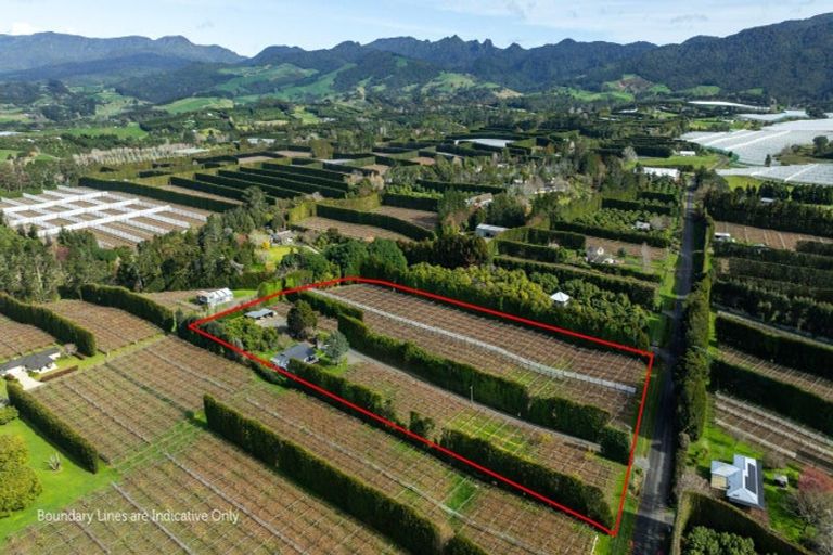 Photo of property in 91 Rea Road, Tahawai, Katikati, 3178