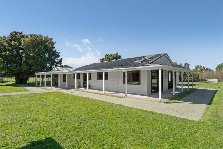 Photo of property in 119 Tararua Drive, Upper Plain, Masterton, 5888