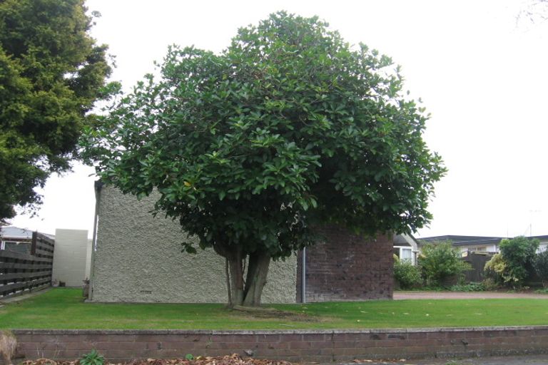 Photo of property in 111 Benmore Avenue, Cloverlea, Palmerston North, 4412