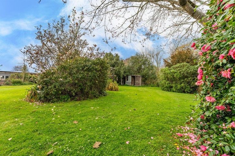 Photo of property in 74 Springfield Road, Temuka, 7920