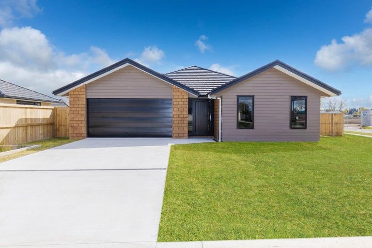 Photo of property in 17 Tekapo Road, Baverstock, Hamilton, 3200