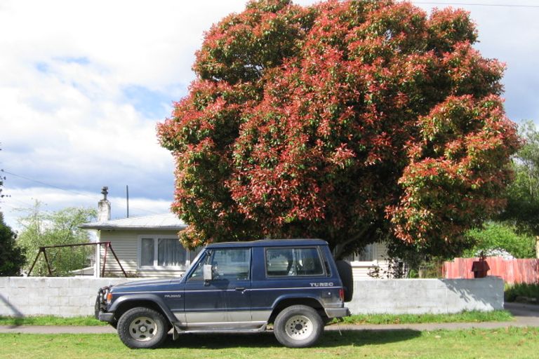 Photo of property in 16 Hinemoa Avenue, Taupo, 3330