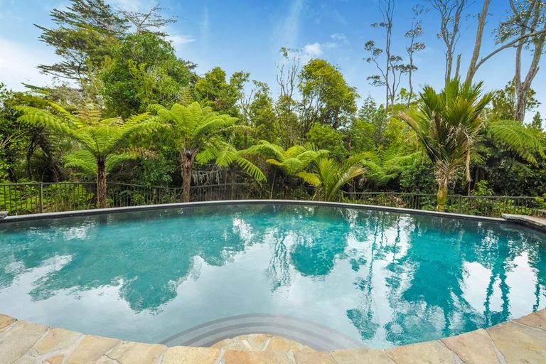 Photo of property in 14 Kopiko Road, Titirangi, Auckland, 0604