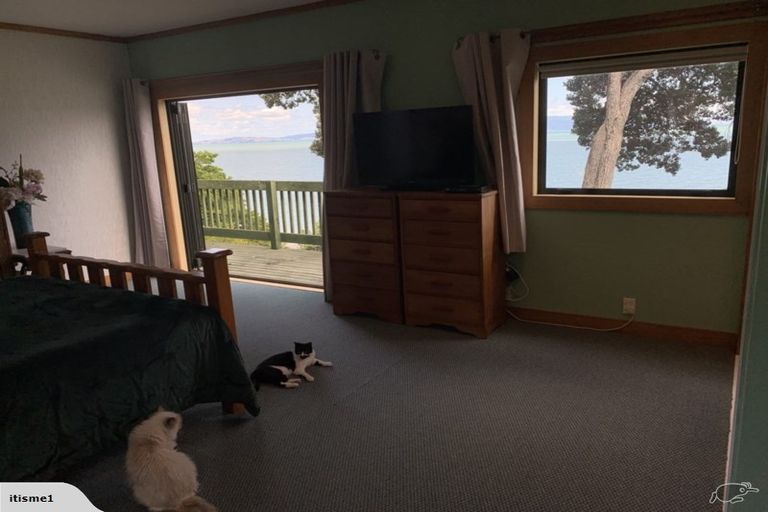 Photo of property in 264 Thames Coast Sh25 Road, Thornton Bay, Thames, 3575