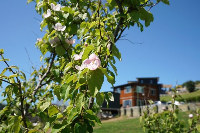 Photo of property in 18 Granada Lane, Langs Beach, Waipu, 0582
