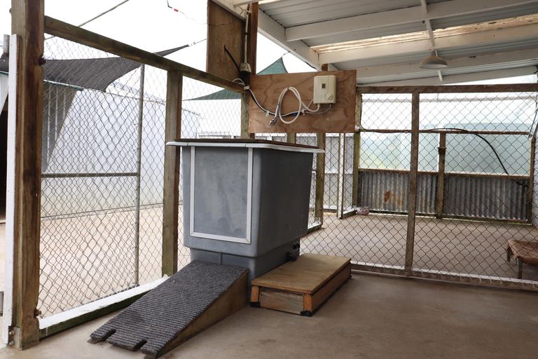 Photo of property in 280 Dixon Road, Te Akau, Ngaruawahia, 3794