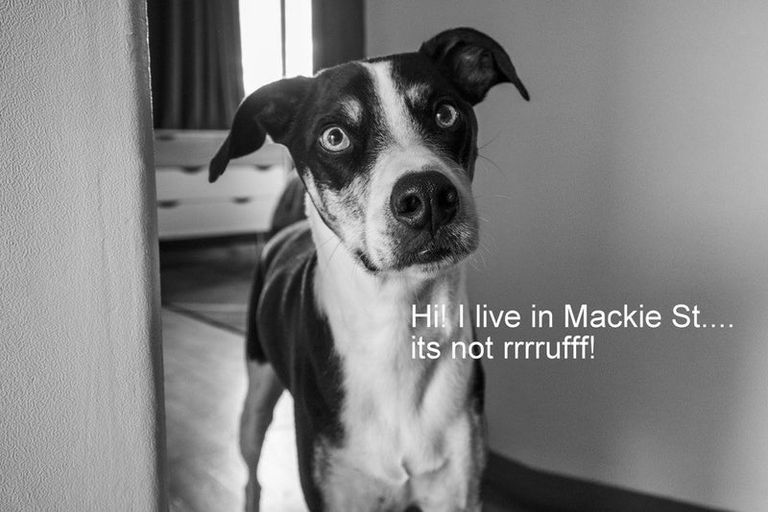 Photo of property in 11 Mackie Street, Waipukurau, 4200