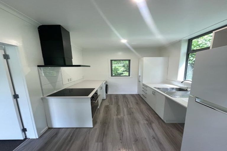 Photo of property in 37 Adams Terrace, Aro Valley, Wellington, 6021