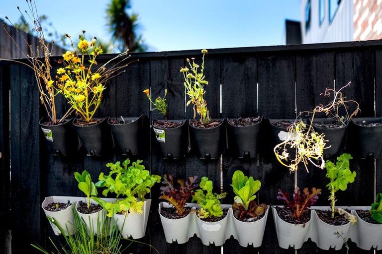 Photo of property in 6 Rara Lane, Manukau, Auckland, 2104