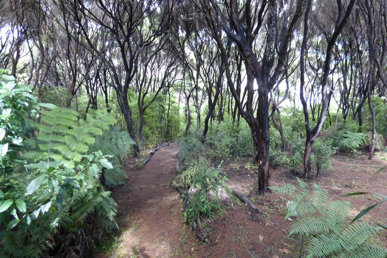 Photo of property in 329 Wharau Road, Kerikeri, 0293