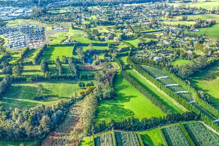 Photo of property in 75a Riddell Road, Kerikeri, 0230