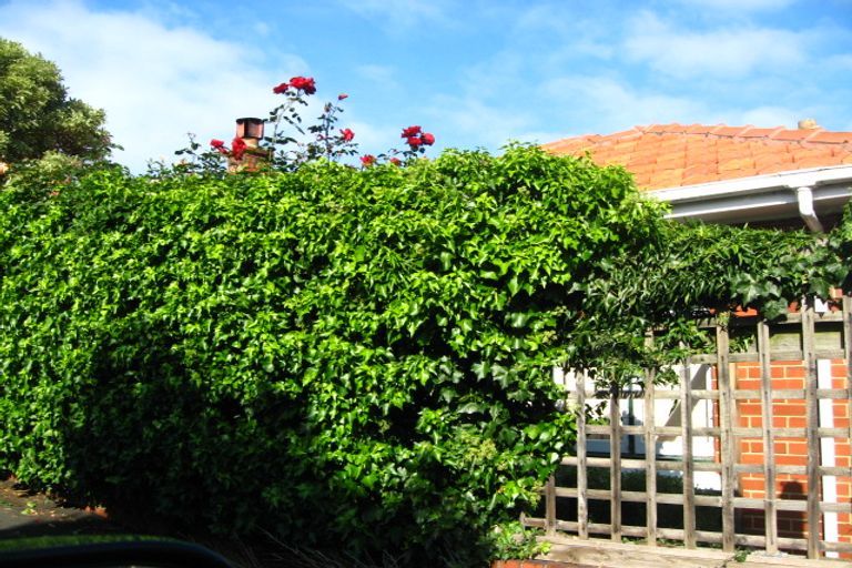 Photo of property in 42 Frame Street, North East Valley, Dunedin, 9010