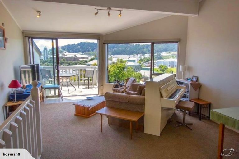 Photo of property in 53 Hankey Street, Mount Cook, Wellington, 6011