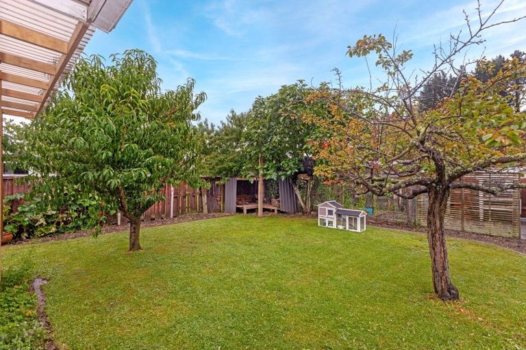 Photo of property in 84 Valley Road, Mangapapa, Gisborne, 4010