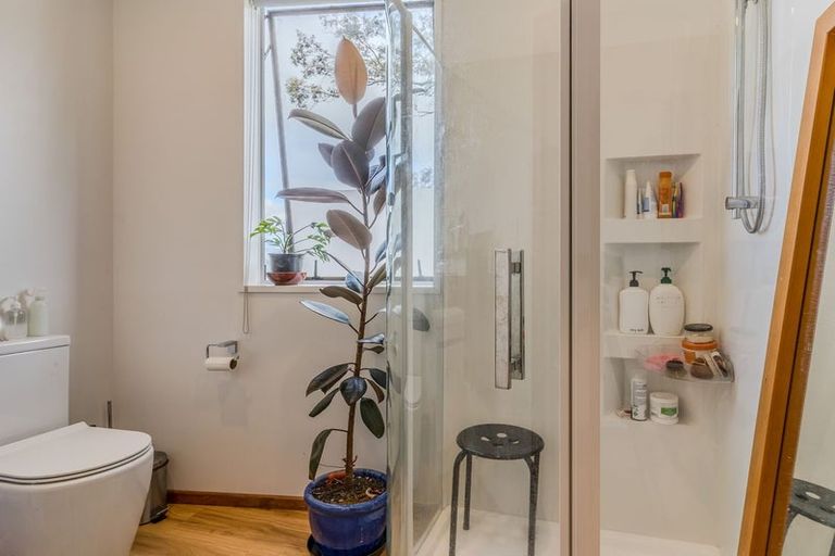 Photo of property in 85 Coast Road, Warrington, Waikouaiti, 9471