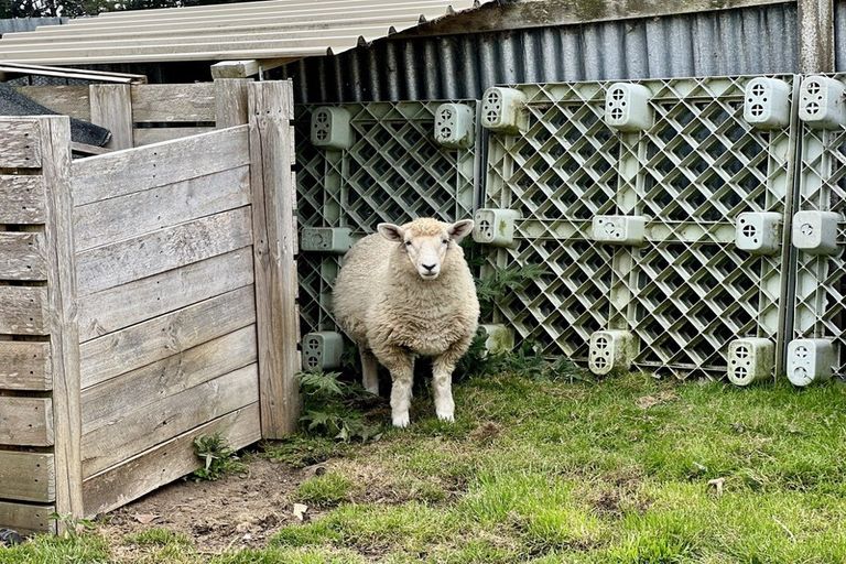 Photo of property in 65 Orawia Road, Tuatapere, 9620