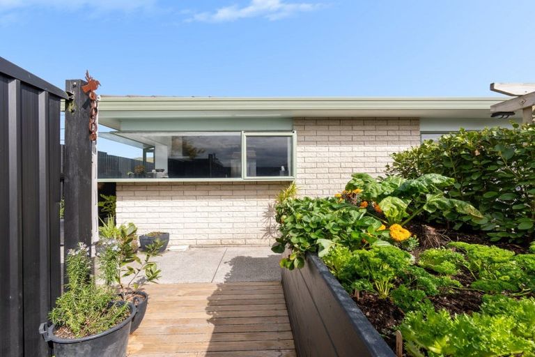 Photo of property in 557 Maunganui Road, Mount Maunganui, 3116