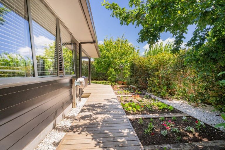 Photo of property in 8b Cook Drive, Whitianga, 3510