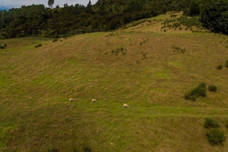 Photo of property in 235 Kaimarama Road, Kaimarama, Whitianga, 3591