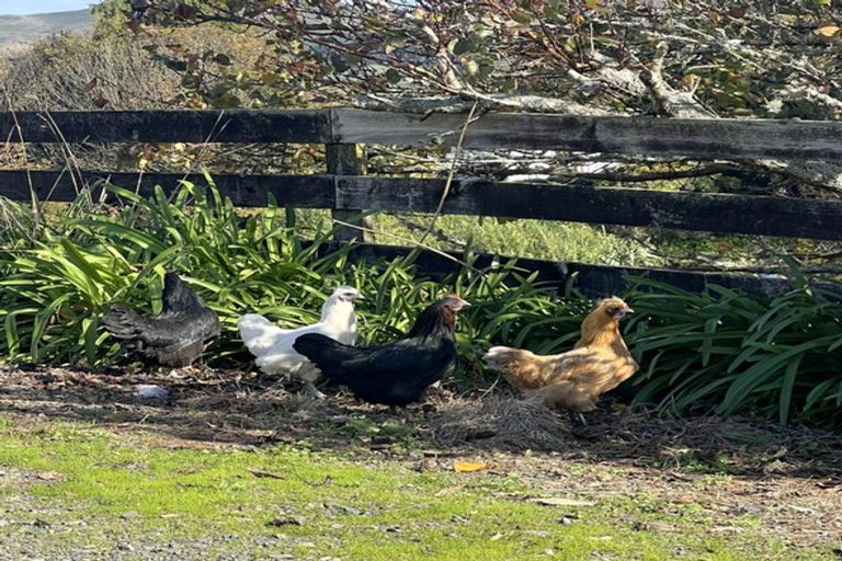 Photo of property in 6 Julian Street, Te Kuiti, 3910