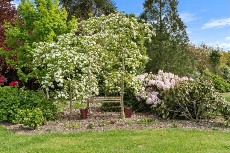 Photo of property in 39 Kimberley Road, Darfield, 7510