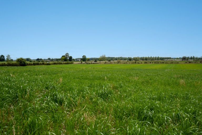 Photo of property in 3126 Cambridge Road, Rotoorangi, Cambridge, 3495