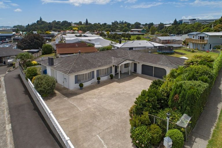 Photo of property in 113 Laurence Street North, Gate Pa, Tauranga, 3112