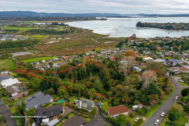 Photo of property in 264 Bellevue Road, Bellevue, Tauranga, 3110