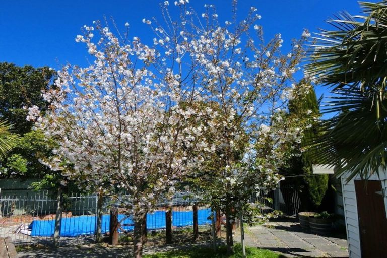 Photo of property in 7 Hamlin Place, Greenmeadows, Napier, 4112