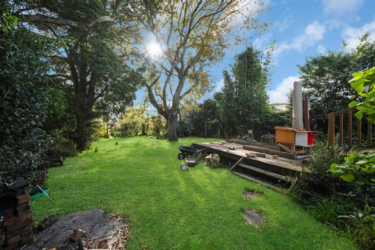 Photo of property in 117 Hutchinson Avenue, New Lynn, Auckland, 0600