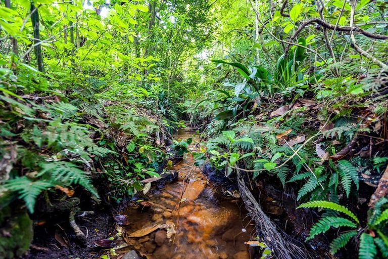 Photo of property in 1 High Road, Hawera, 4610