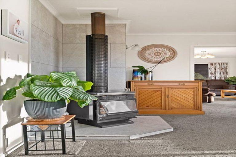 Photo of property in 8 Connell Street, Waverley, Dunedin, 9013